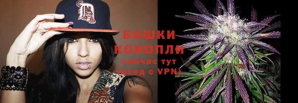 ALPHA-PVP Горнозаводск