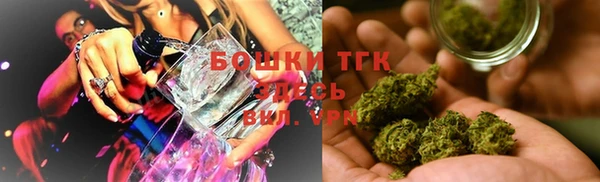ECSTASY Горняк