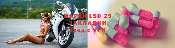 ECSTASY Горняк