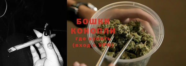 ECSTASY Горняк