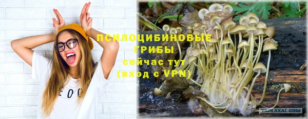 COCAINE Гусь-Хрустальный