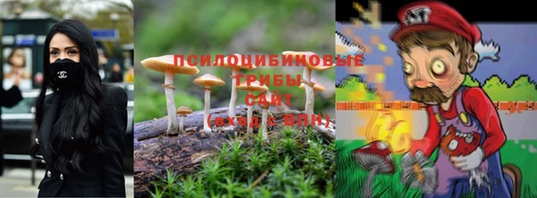 COCAINE Гусиноозёрск