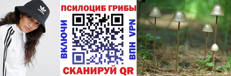 Галлюциногенные грибы ЛСД Елабуга