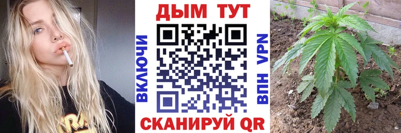 Каннабис Amnesia  где купить наркоту  Елабуга 